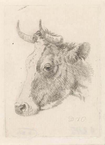 Head of a Bull, Drawing by Dirk van Oosterhoudt by Dirk van Oosterhoudt  